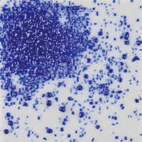 Frits 230-6SF poeder 50gram